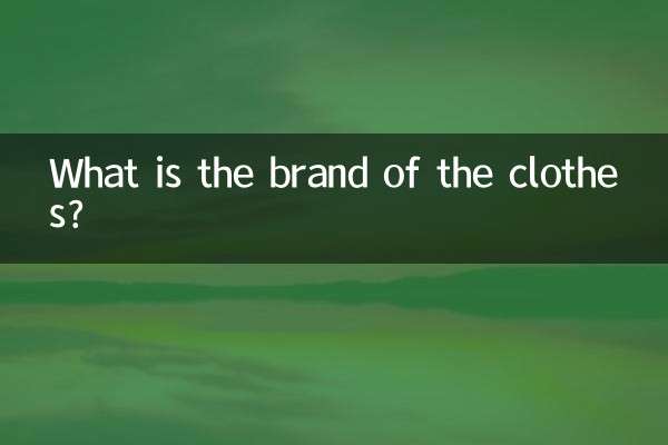 জামাকাপড় ব্র্যান্ড কি?