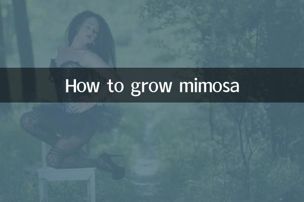 Как посадить мимозу