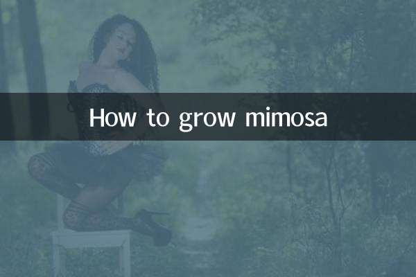 Cómo plantar mimosa