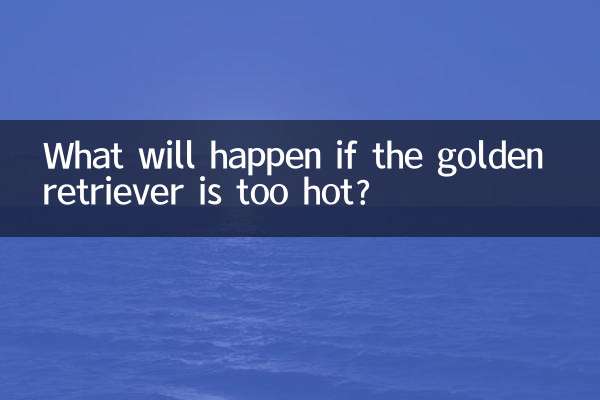 Was passiert, wenn der Golden Retriever zu heiß ist?