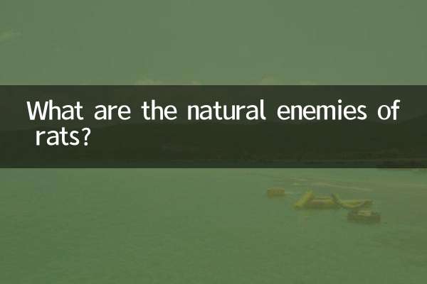 Quais são os inimigos naturais dos ratos?