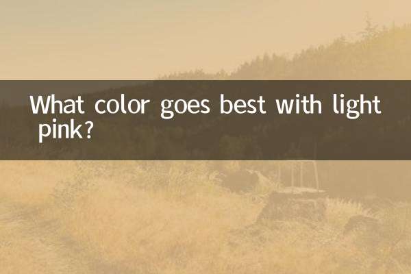 Welche Farbe passt am besten zu Hellrosa?