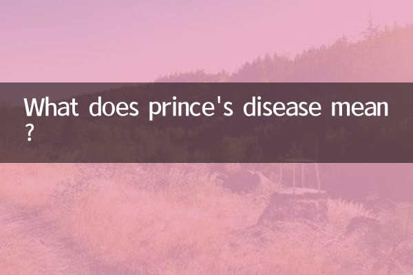 왕자병은 무슨 뜻인가요?