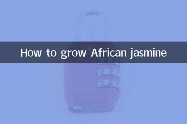 아프리카 재스민을 재배하는 방법