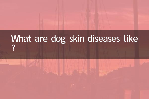 狗狗皮膚病是怎麼樣的