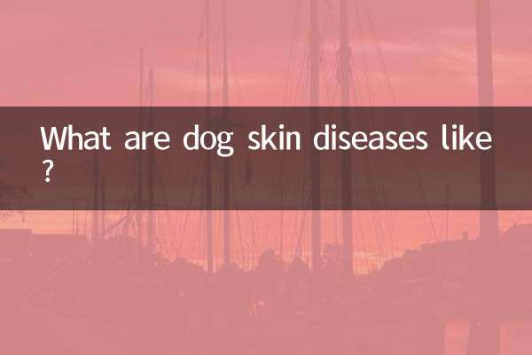 狗狗皮膚病是怎麼樣的