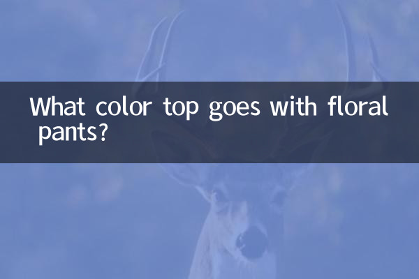 Welche Oberteilfarbe passt zu einer geblümten Hose?