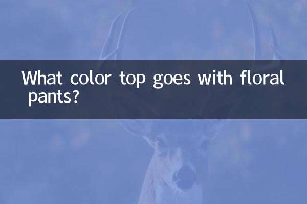 Welche Oberteilfarbe passt zu einer geblümten Hose?