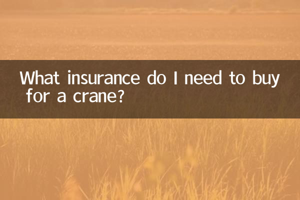 ما هو التأمين الذي أحتاج إلى شرائه للرافعة؟