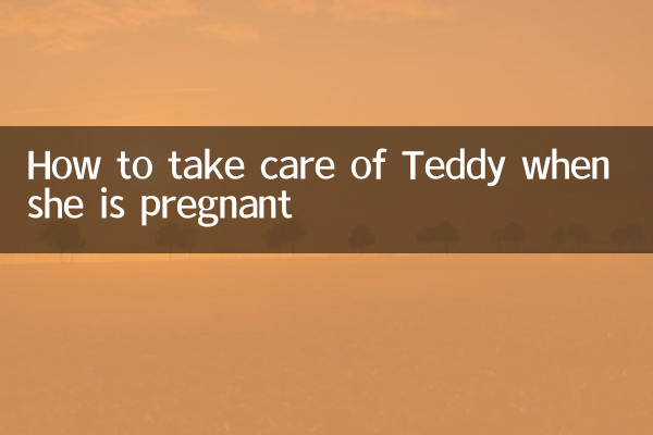 Como cuidar de Teddy quando ela está grávida