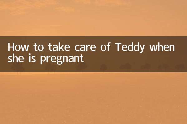 जब टेडी गर्भवती हो तो उसकी देखभाल कैसे करें?