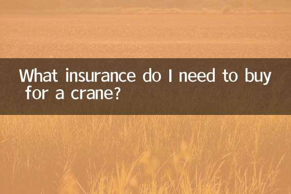 ما هو التأمين الذي أحتاج إلى شرائه للرافعة؟