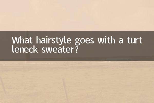 Welche Frisur passt zum Rollkragenpullover?
