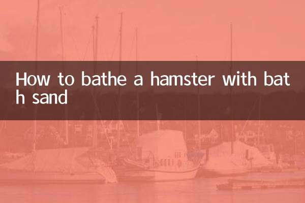 How to bathe a hamster with bath sand
