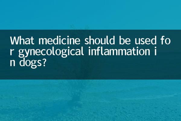 狗狗婦科炎症用什麼藥