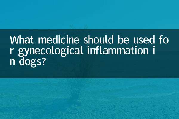 狗狗婦科炎症用什麼藥