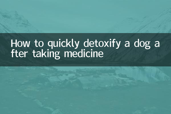 약을 먹은 후 강아지를 빠르게 해독하는 방법