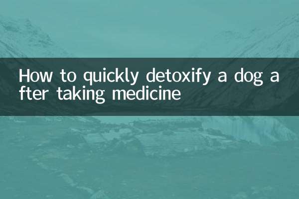 약을 먹은 후 강아지를 빠르게 해독하는 방법
