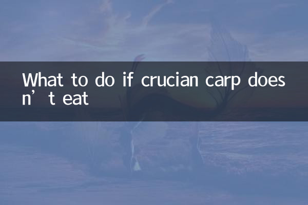 अगर क्रूसियन कार्प न खाए तो क्या करें?