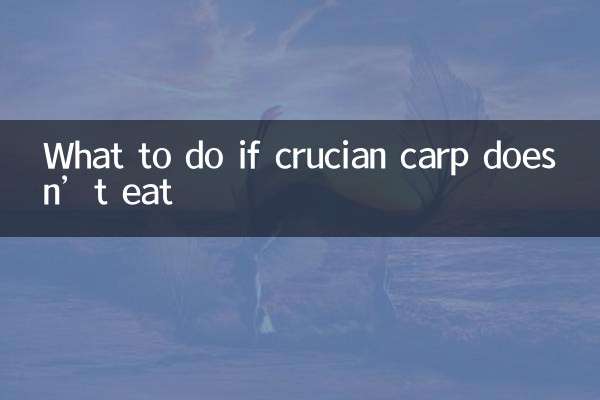 کیا کریں اگر کروسین کارپ نہیں کھاتا ہے