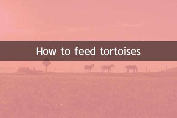 Come nutrire le tartarughe