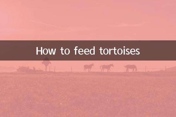 کچھووں کو کیسے کھانا کھلانا ہے