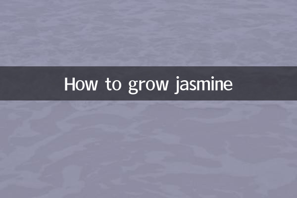 Comment faire pousser du jasmin
