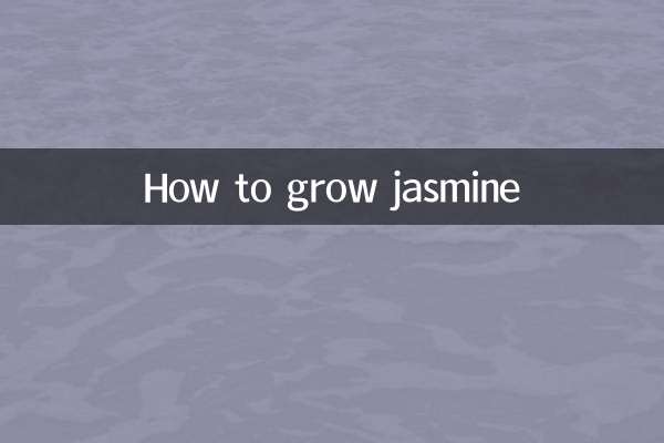 Comment faire pousser du jasmin