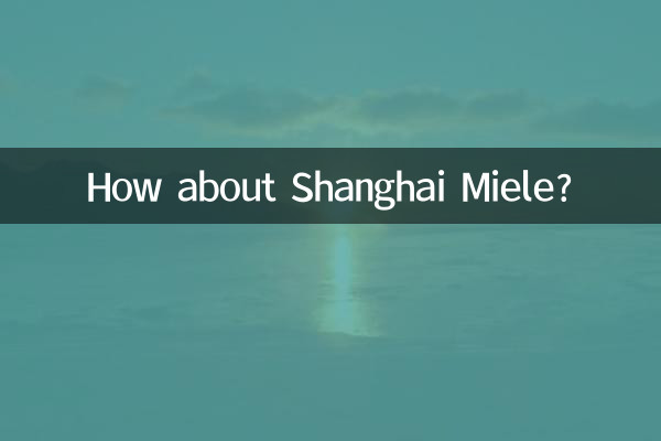 How about Shanghai Miele?