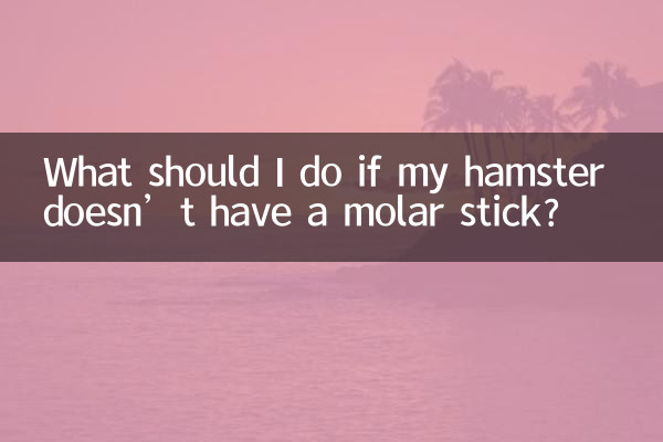 Cosa devo fare se il mio criceto non ha un bastoncino molare?