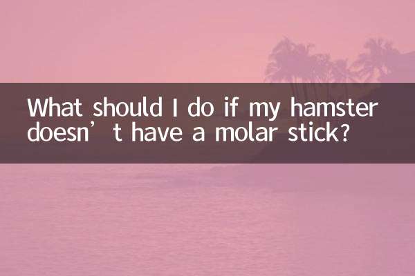 আমার হ্যামস্টারের মোলার স্টিক না থাকলে আমার কী করা উচিত?