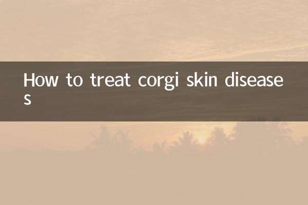 How to treat corgi skin diseases