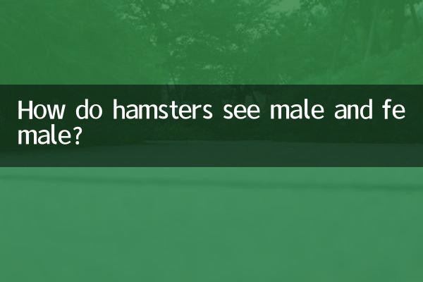 Wie sehen Hamster Männchen und Weibchen?