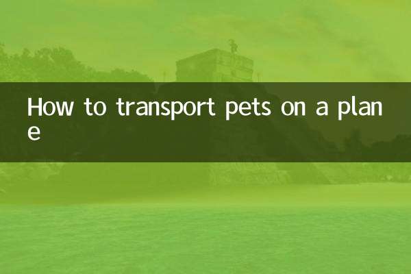 How to transport pets on a plane