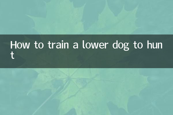 Comment entraîner un chien inférieur à chasser