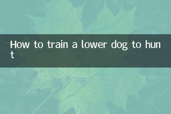Comment entraîner un chien inférieur à chasser