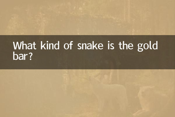गोल्ड बार किस प्रकार का साँप है?