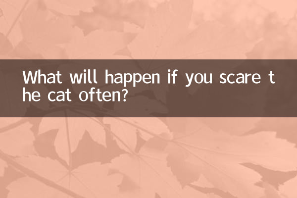 ماذا سيحدث إذا كنت تخيف القطة كثيرًا؟