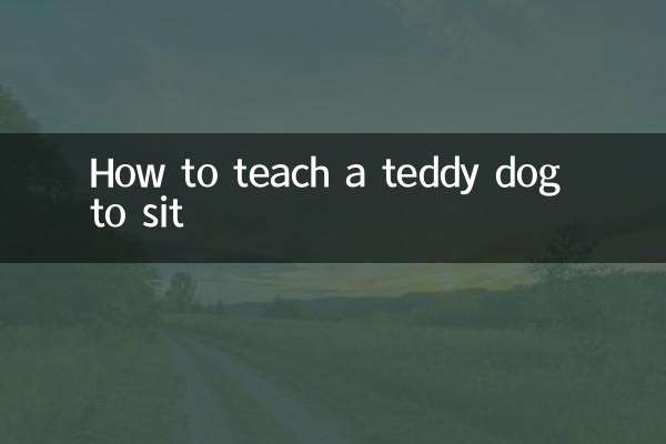 टेडी डॉग को बैठना कैसे सिखाएं