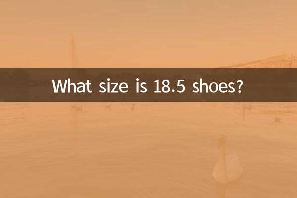 Welche Größe haben 18,5-Schuhe?