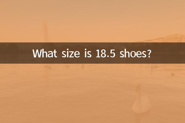 Welche Größe haben 18,5-Schuhe?