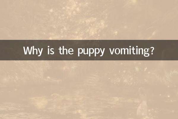 Why is the puppy vomiting?