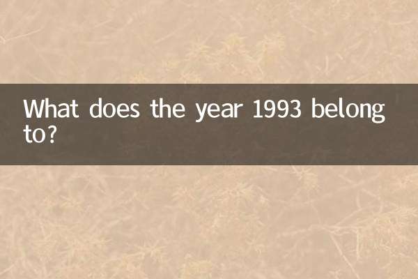 1993 年は何年に属しますか?