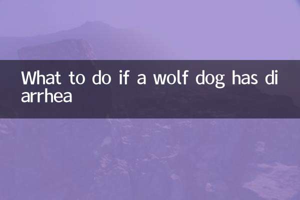 늑대개가 설사를 하면 어떻게 해야 할까요?