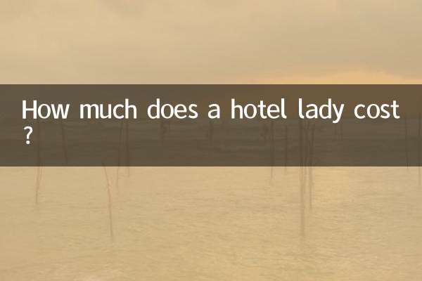Wie viel kostet eine Hoteldame?