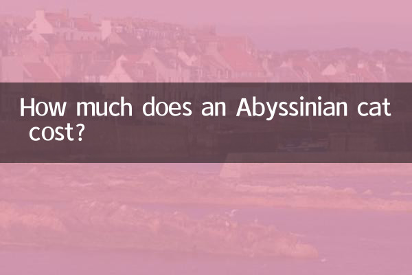 아비시니안 고양이 가격은 얼마인가요?