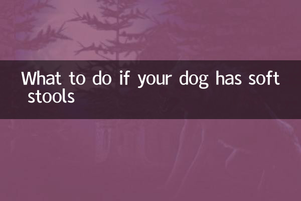 O que fazer se seu cachorro tiver fezes moles