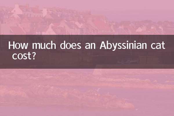 阿比西尼亞貓多少錢