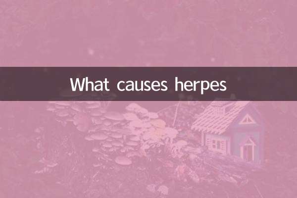 O que causa o herpes