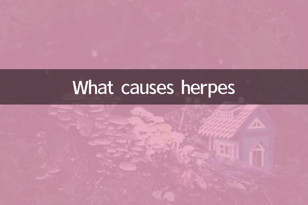 O que causa o herpes